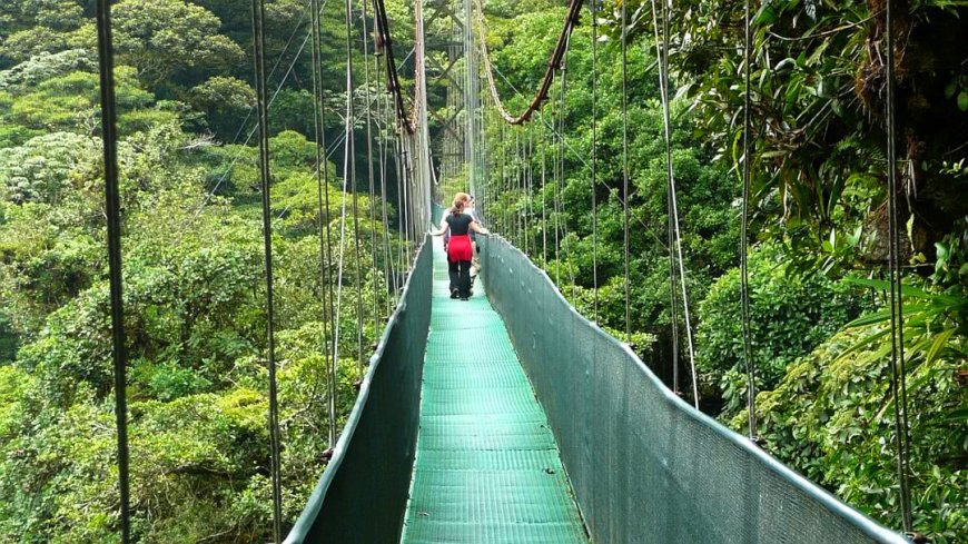 Costa Rica Minibus-Rundreise - Bild 12