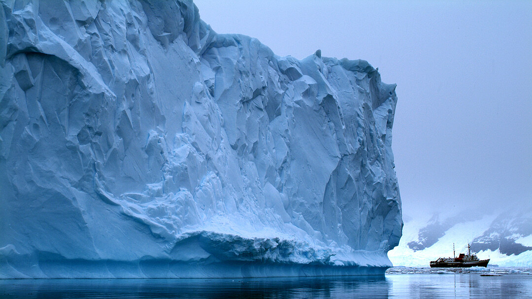 Tag 4 bis 9: Südshetland Inseln, Antarktische Halbinsel und Fahrt über Polarkreis