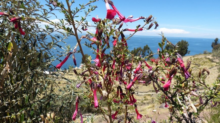 Peru Kurzreise mit allen Highlights - Bild 6