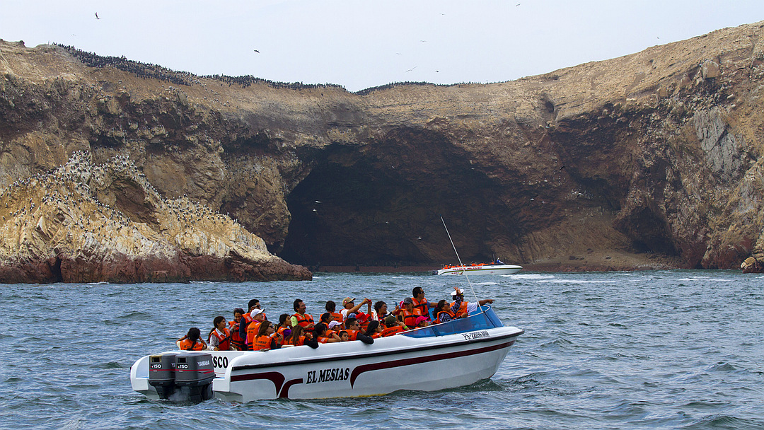 Tag 2 Paracas: Bootsfahrt Islas Ballestas und Besichtigung Ica