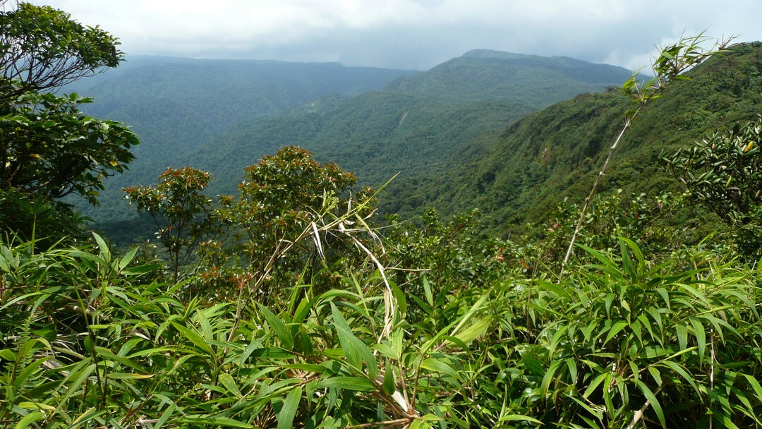 Tag 13 Monteverde: Freier Tag