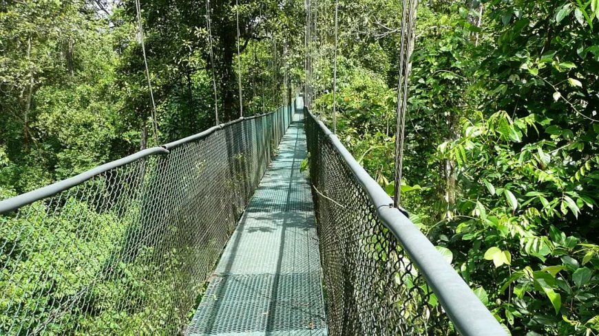 Costa Rica Mietwagenreise Vulkane, Regenwälder und Strand - Bild 6