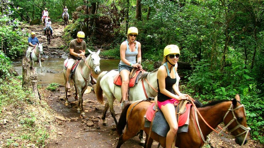 Costa Rica Mietwagenreise Vulkane, Regenwälder und Strand - Bild 11