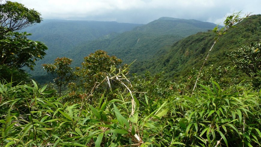 Costa Rica Mietwagenreise Vulkane, Regenwälder und Strand - Bild 14