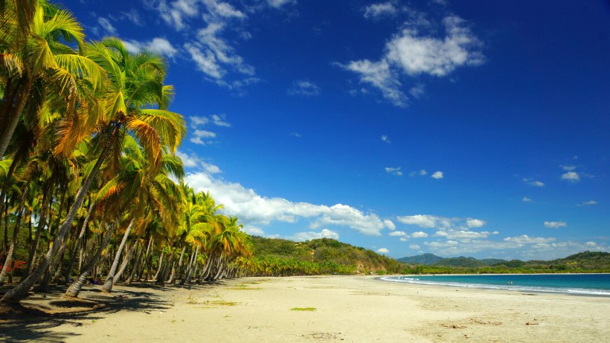 Costa Rica Mietwagenreise Vulkane, Regenwälder und Strand - Bild 15
