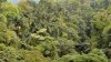 Costa Rica Mietwagenreise Vulkane, Regenwälder und Strand - Vorschaubild 10