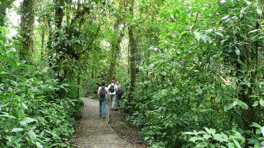 Gruppenreise Costa Rica - Nicaragua - Panama in Deutsch - Bild 3