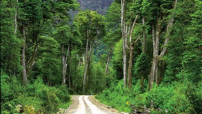 Mietwagenreise Carretera Austral - Norden