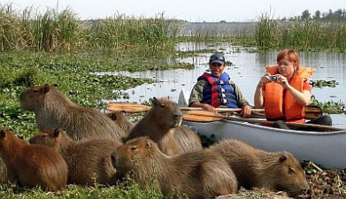 Esteros del Iberá