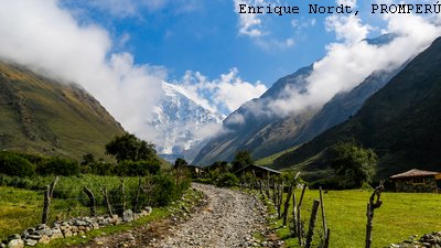 Salkantay Trail