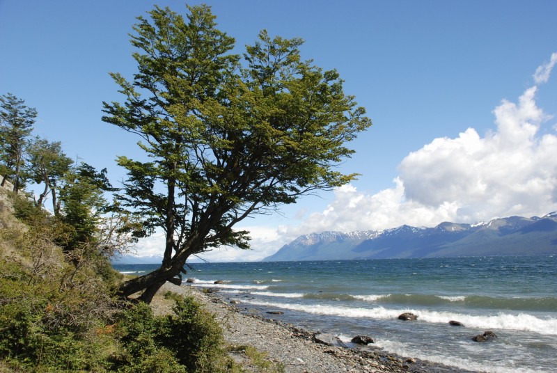 Lago Fagnano, Ushuaia, Argentinien