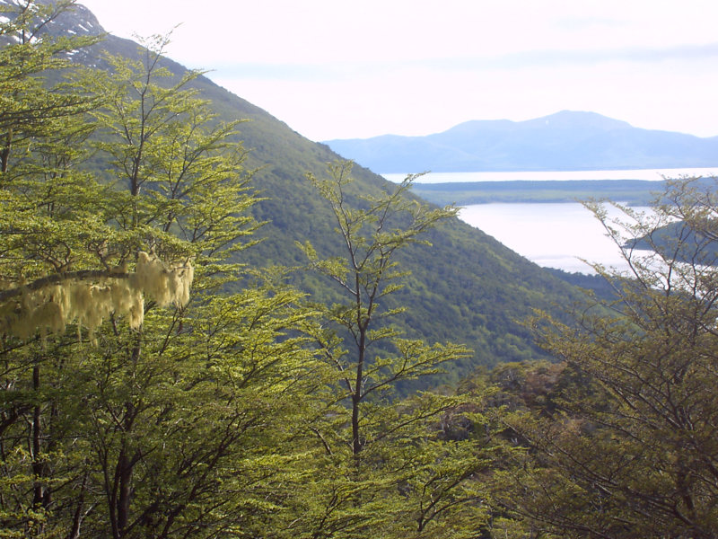 Lago Escondido und Lago Fagnano, Ushuaia, Argentinien