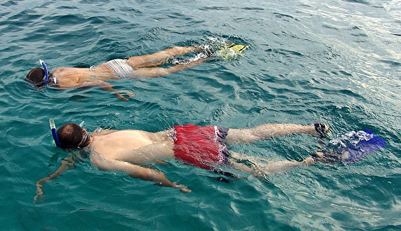 Schnorcheln am Cayo Coral Bocas del Toro, Panama