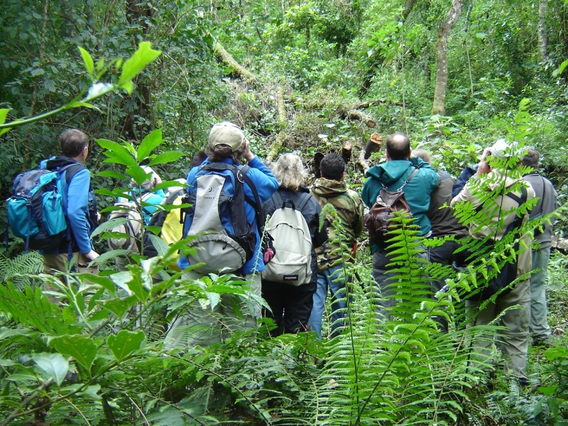 Wandern unf Vogelbeobachtung in Boquete, Panama