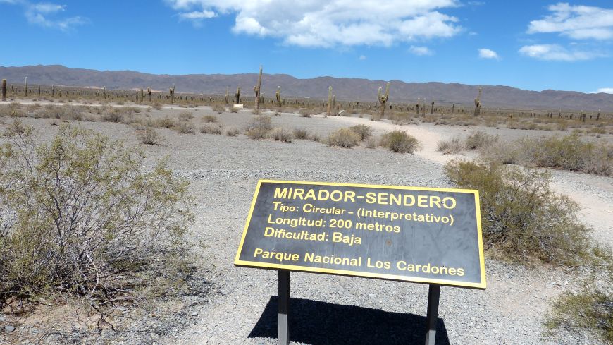 Nationalpark Los Cardones Argentinien Nationalpark Los Cardones Argentinien