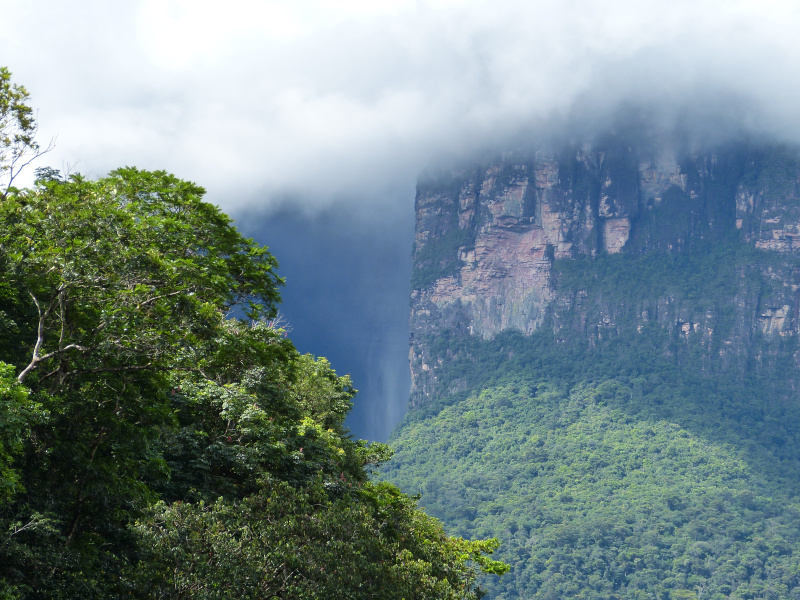 Landschaft Canaima, Venezuela