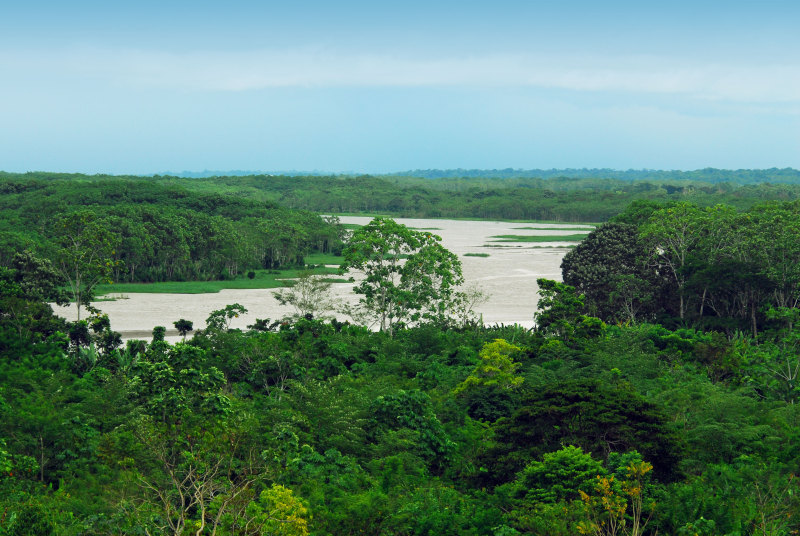 Amazonas, Iquitos, Peru