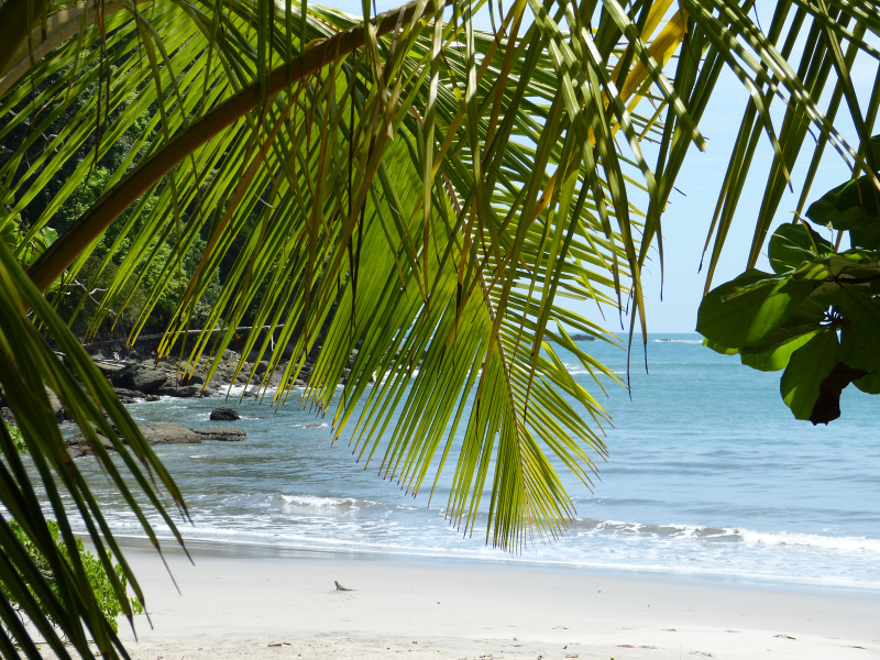 Strand Playa Espadilla Manuel Antonio, Reiseinformationen Costa Rica