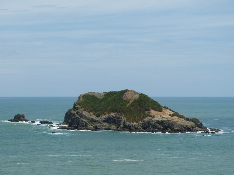 Insel vor Nationalpark Manuel Antonio, Reiseinformationen Costa Rica