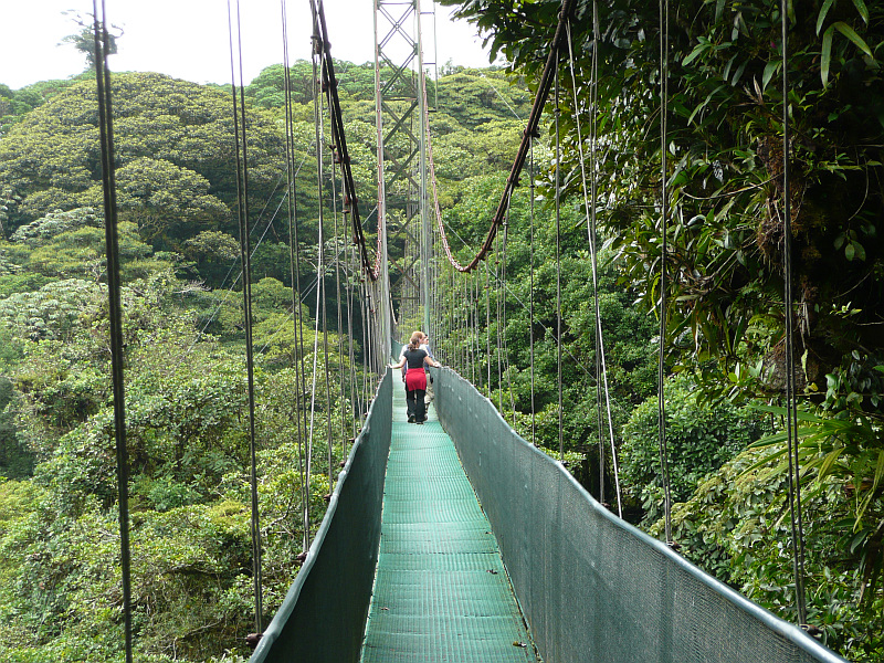 Costa Rica Nebelwald Monteverde Ökotourismus nachhaltig