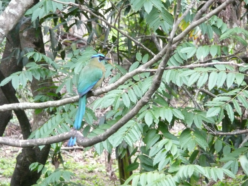 Costa Rica Rundreisen