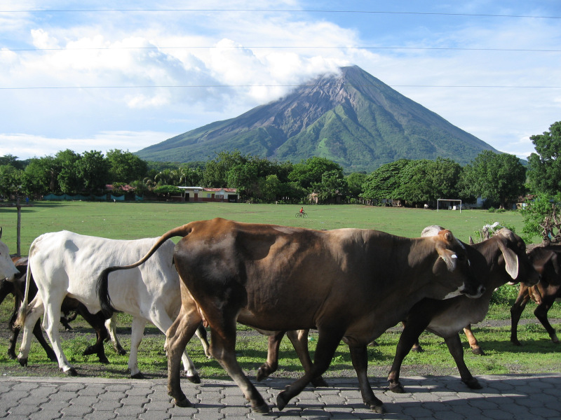 Vulkan Concepcion, Isla Ometepe, Nicaragua