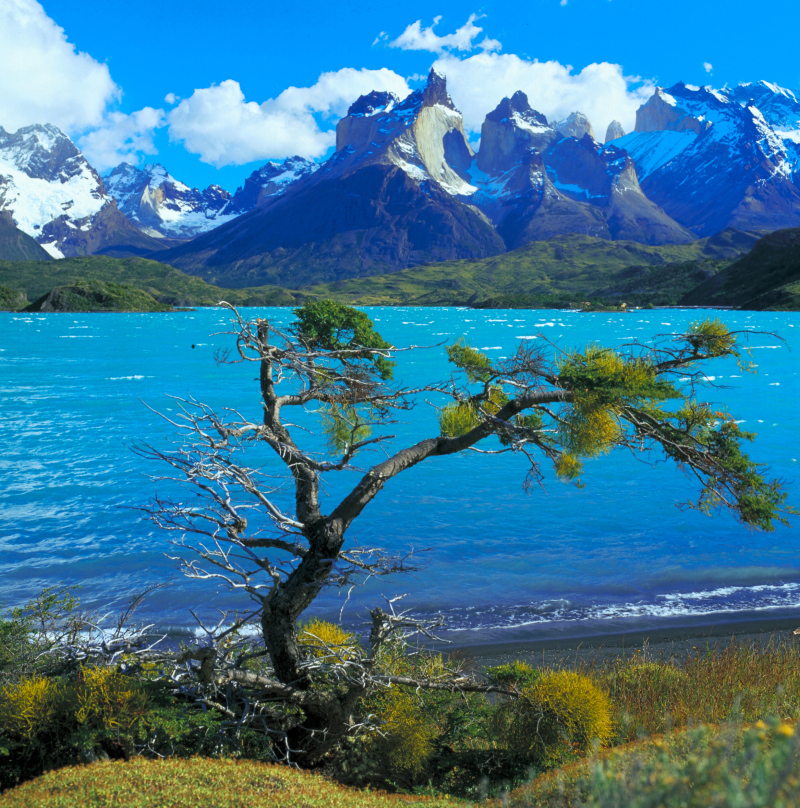 Nationalpark Torres del Paine, Patagonien, Chile
