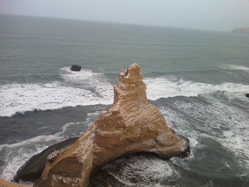 Klippen von Paracas, Peru