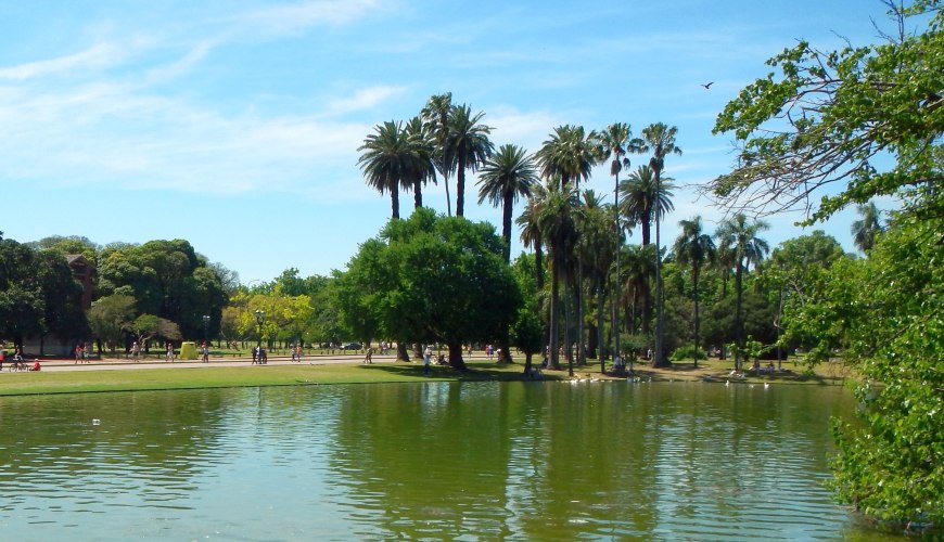 Palmen im Palermo-Park Buenos Aires