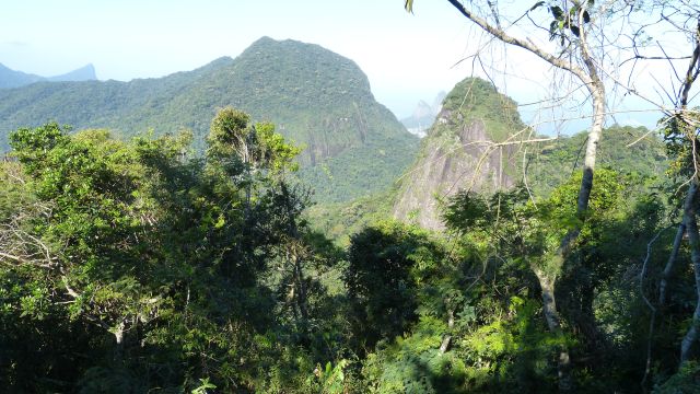 Natur in Rio de Janeiro