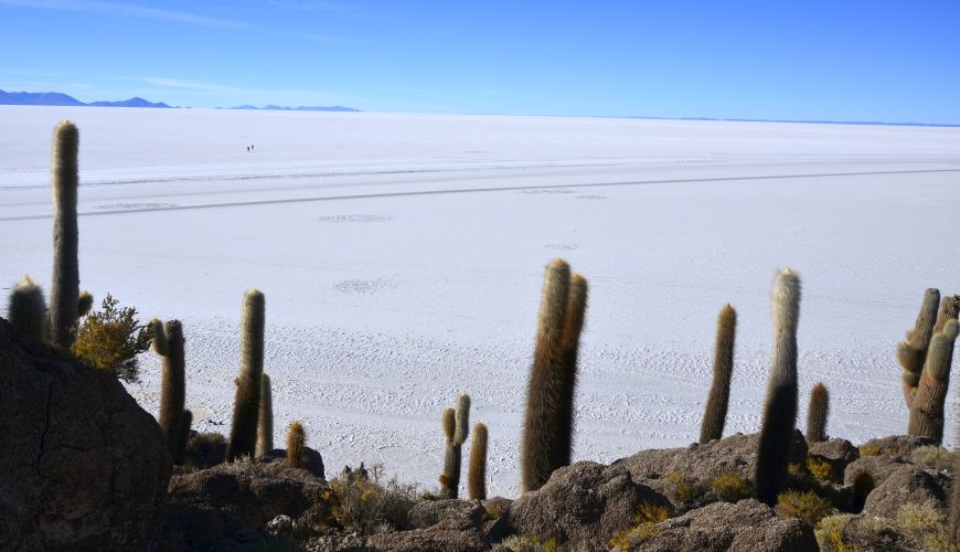 Isla Incahuasi