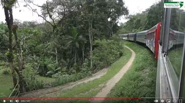 Videolink Trem da Serra do Mar