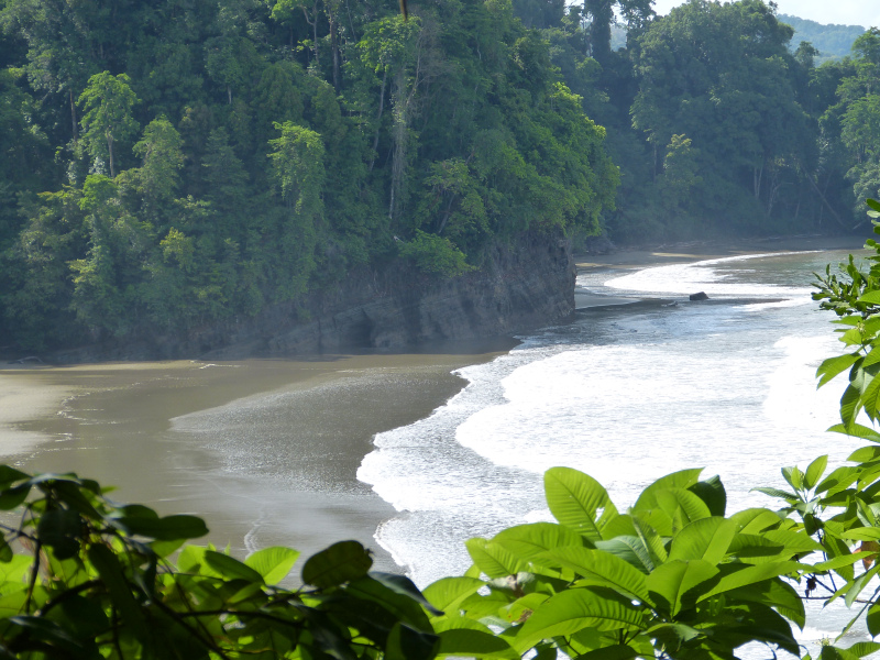 Strand Playa de Arco bei Uvita, Costa Rica