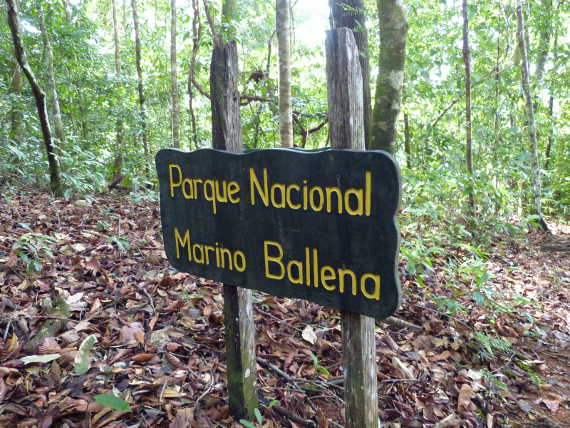 Nationalpark Marino Ballena, Costa Rica